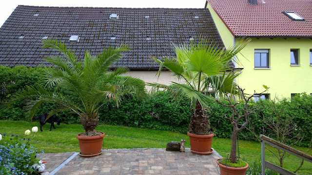 Terrasse vor dem Haus (c) by Joachim Wenk Terrasse vor dem Haus (c) by Joachim Wenk