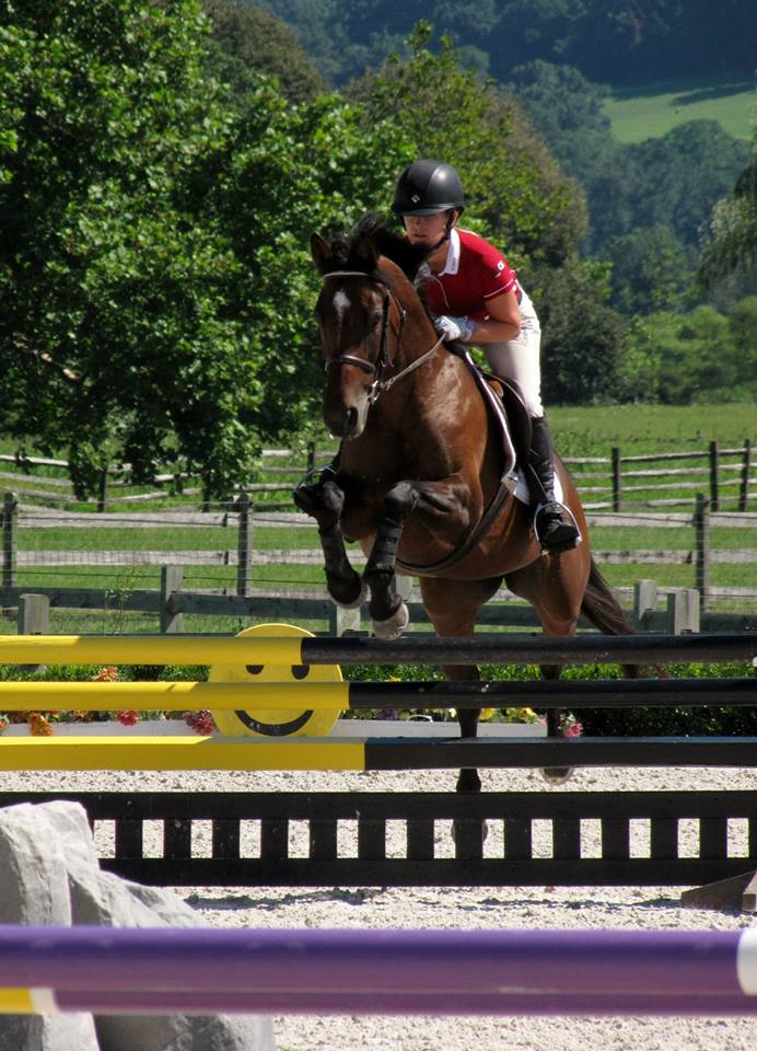 MK EQUESTRIAN Ready to compete? Need a horse?