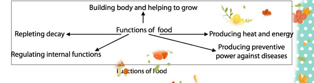 Functions of Food and Nutrients