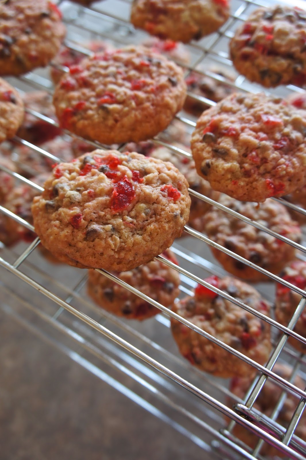 Savory Sweet and Satisfying Cherry Chocolate Chip Cookies
