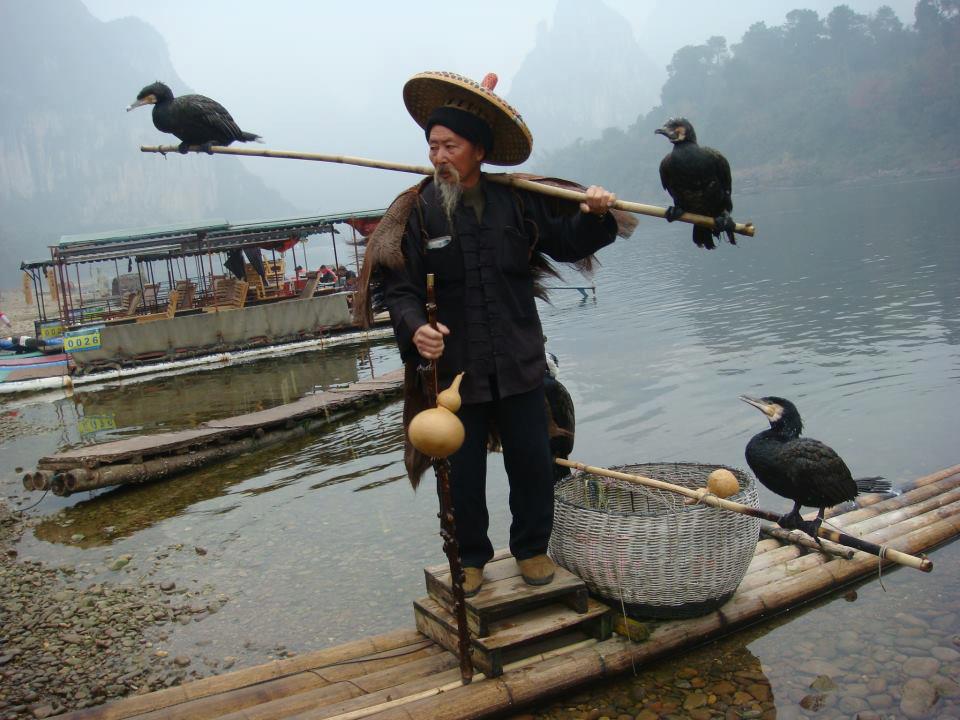 Incredible Things Cormorant fishing