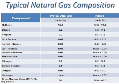Identity, Ideas, Ideals: Natural Gas for Power Generation
