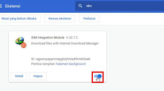 How to Fix IDM Extension Not Appearing on Google Chrome