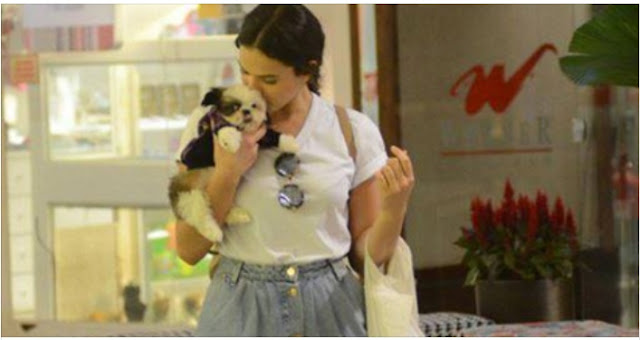 Bruna Marquezine compra FILHOTE DE SHIH TZU em shopping