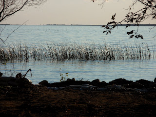 lake shore of Oak Lake