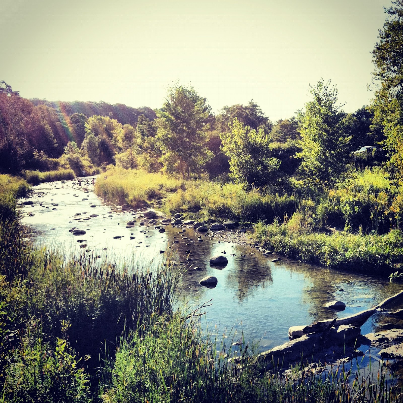 Some Photos & Facts About Rouge Park