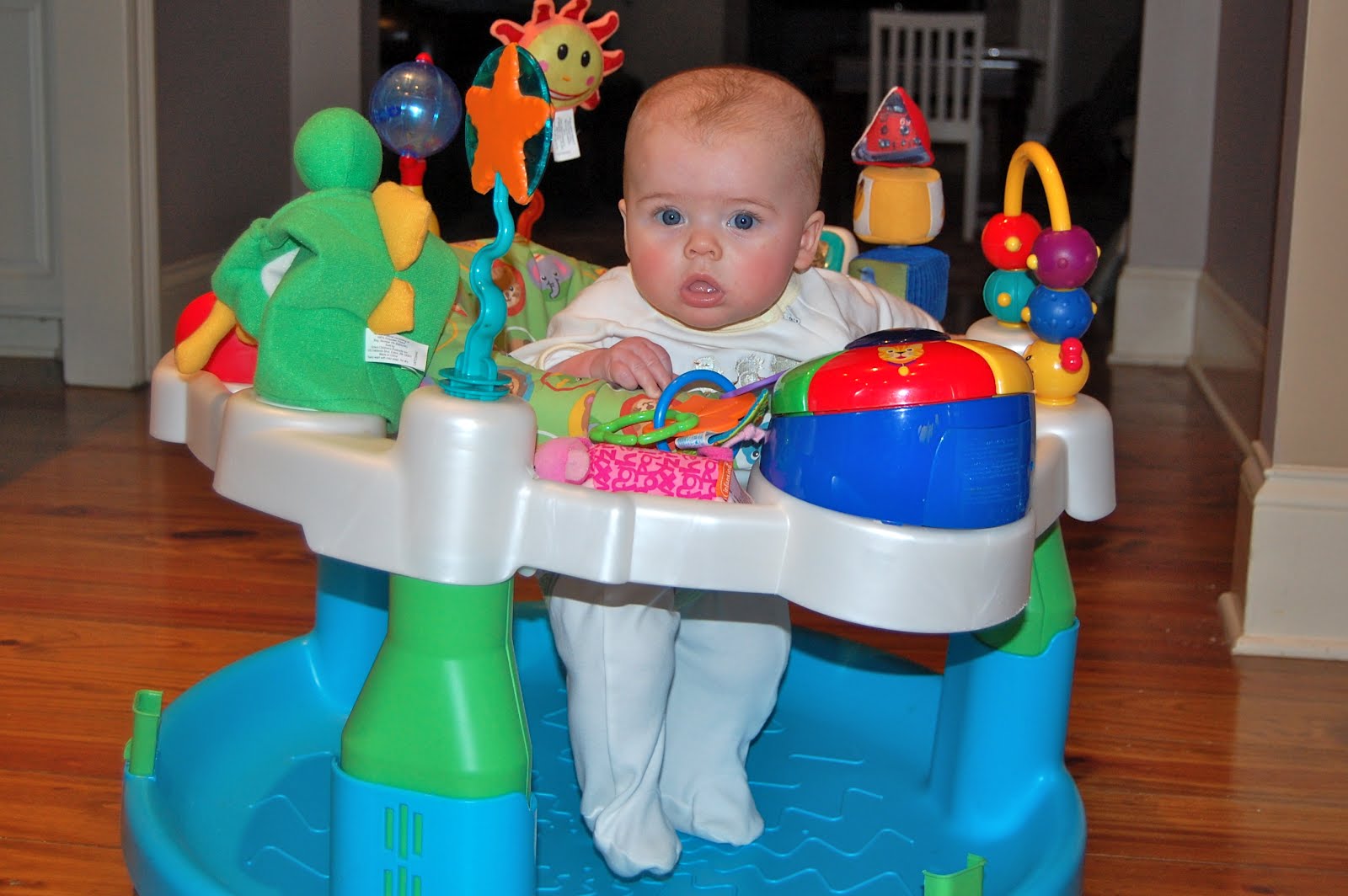 The dixon family 4 months 