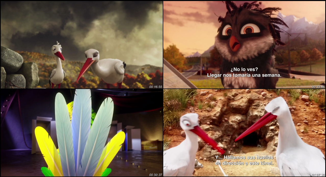 A Stork's Journey 2017