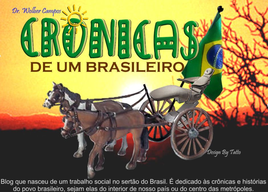 <b>Crônicas de um Brasileiro</b>