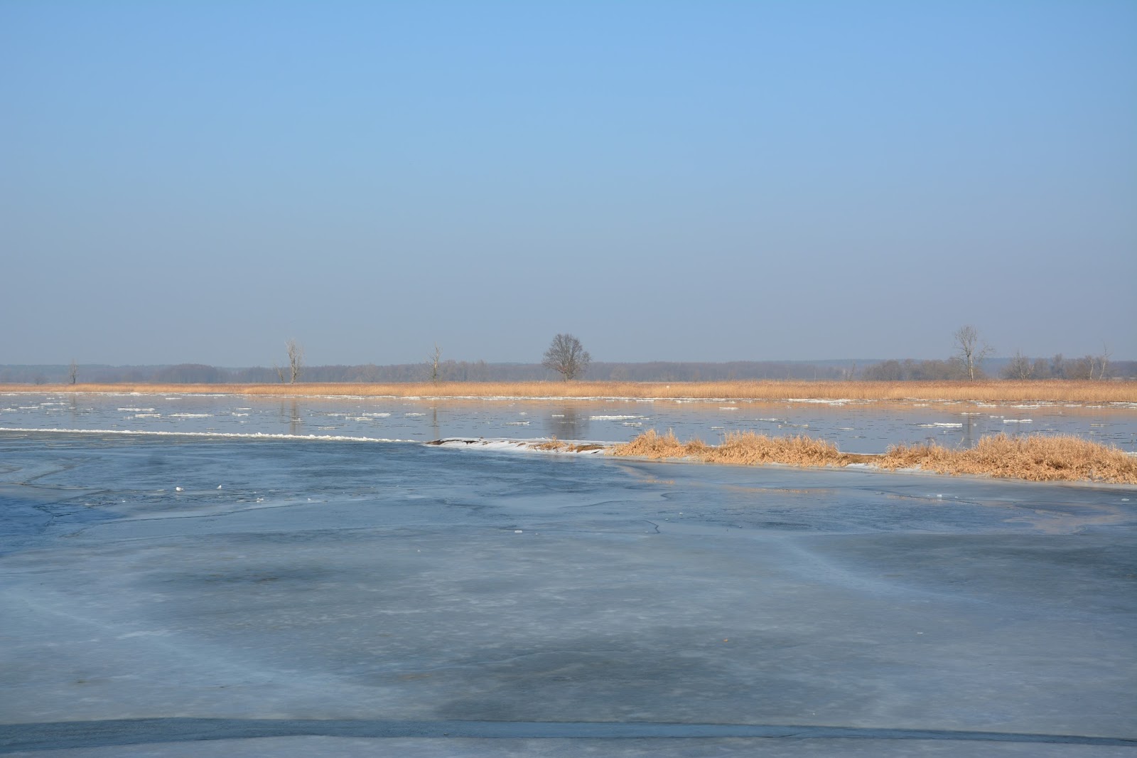 ITworks!Berlin: Im Oderbruch