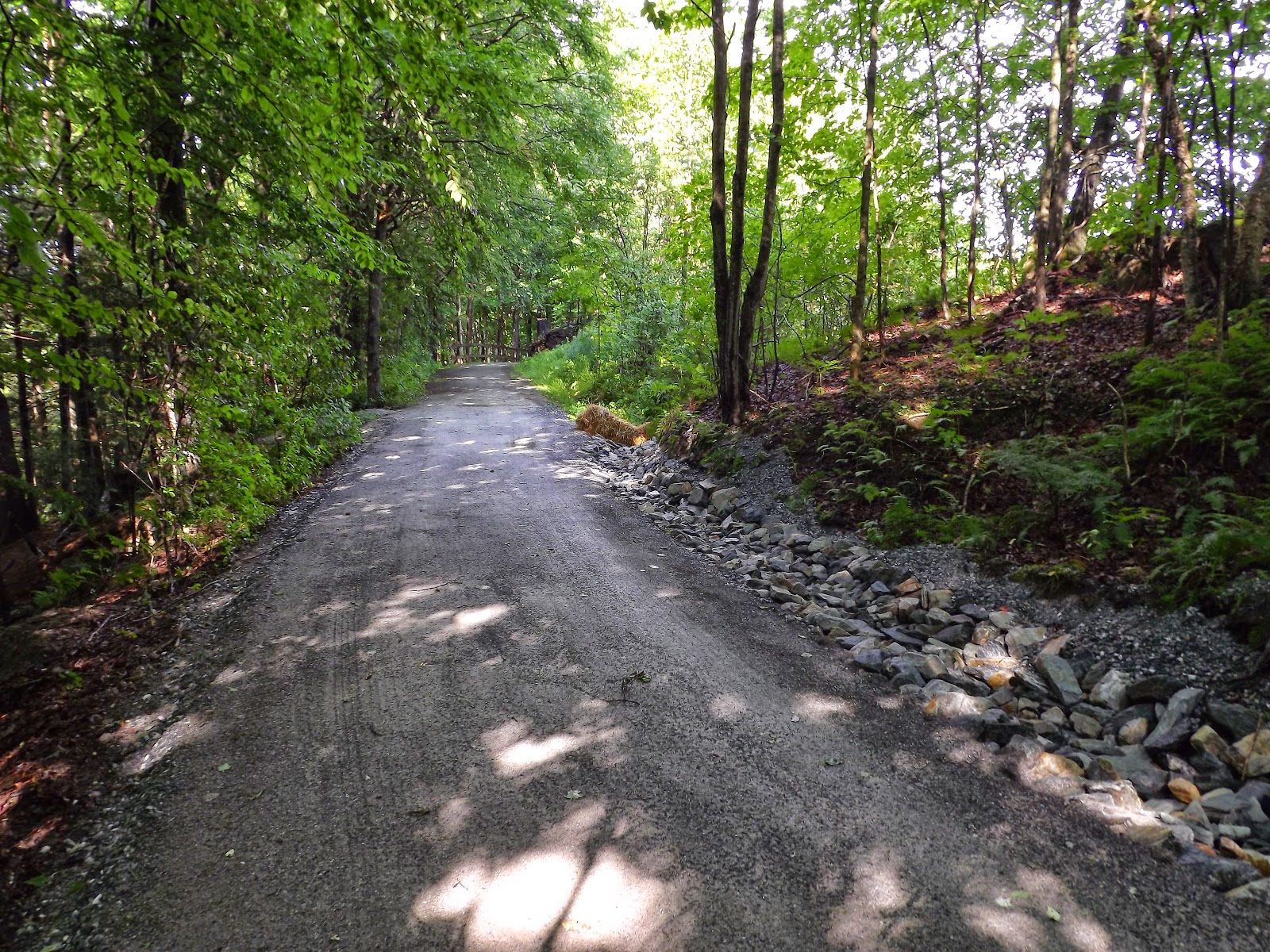 Association Riviere Magog La piste cyclable à l'ouest du chemin StRoch S et les sédiments qu