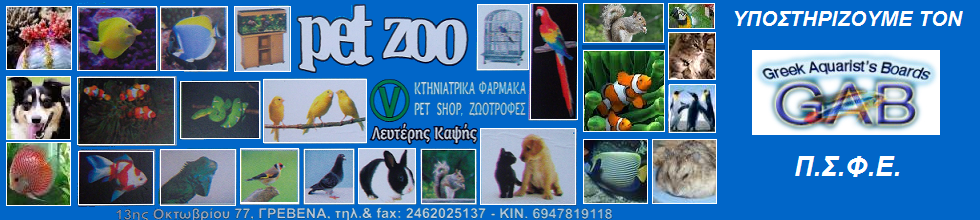 Pet Zoo-Vet 