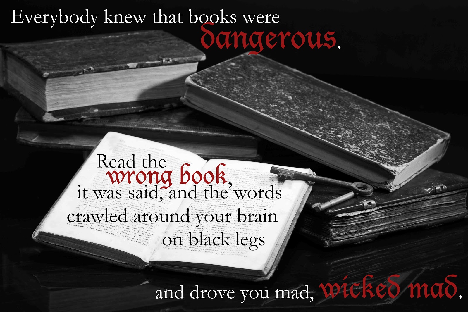 Pica Reads: Bookish Quotes: Fly By Night