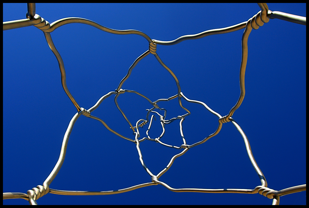 Memoria visual de un desmemoriado Bajo una alambrada