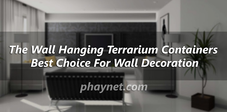 The Wall Hanging Terrarium Containers Best Choice For Wall Decoration The Wall Hanging Terrarium Containers Best Choice For Wall Decoration