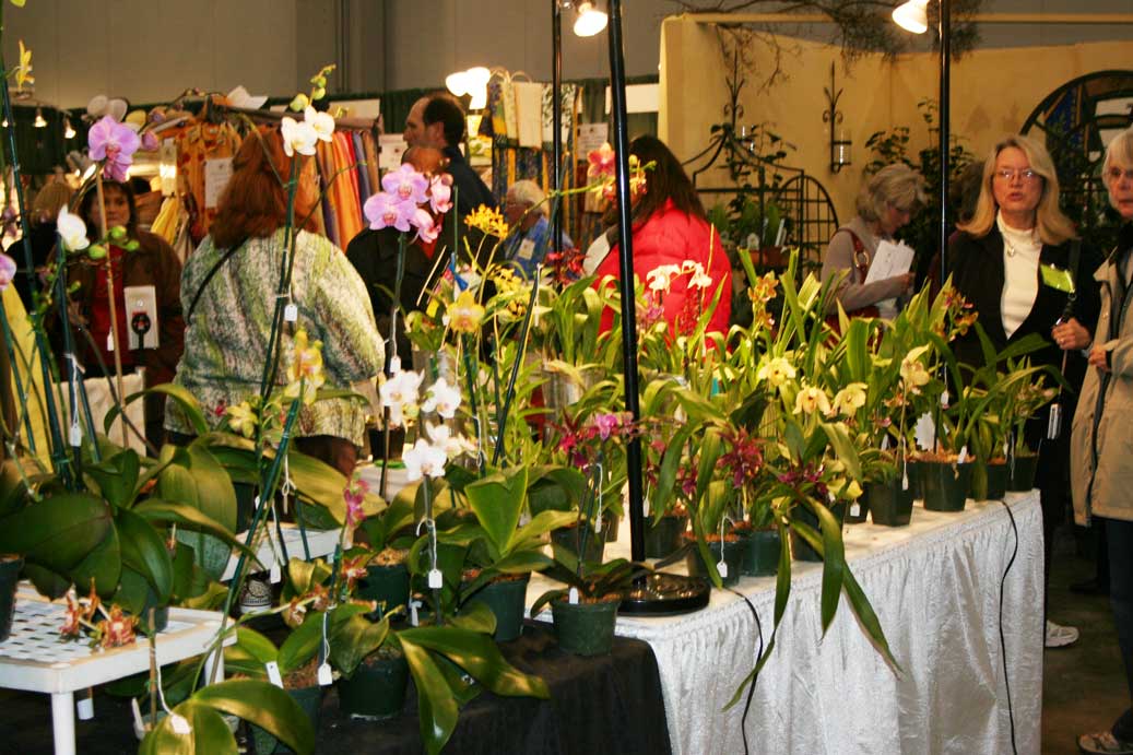 Everyday Finesse 25th Annual Southeastern Flower Show
