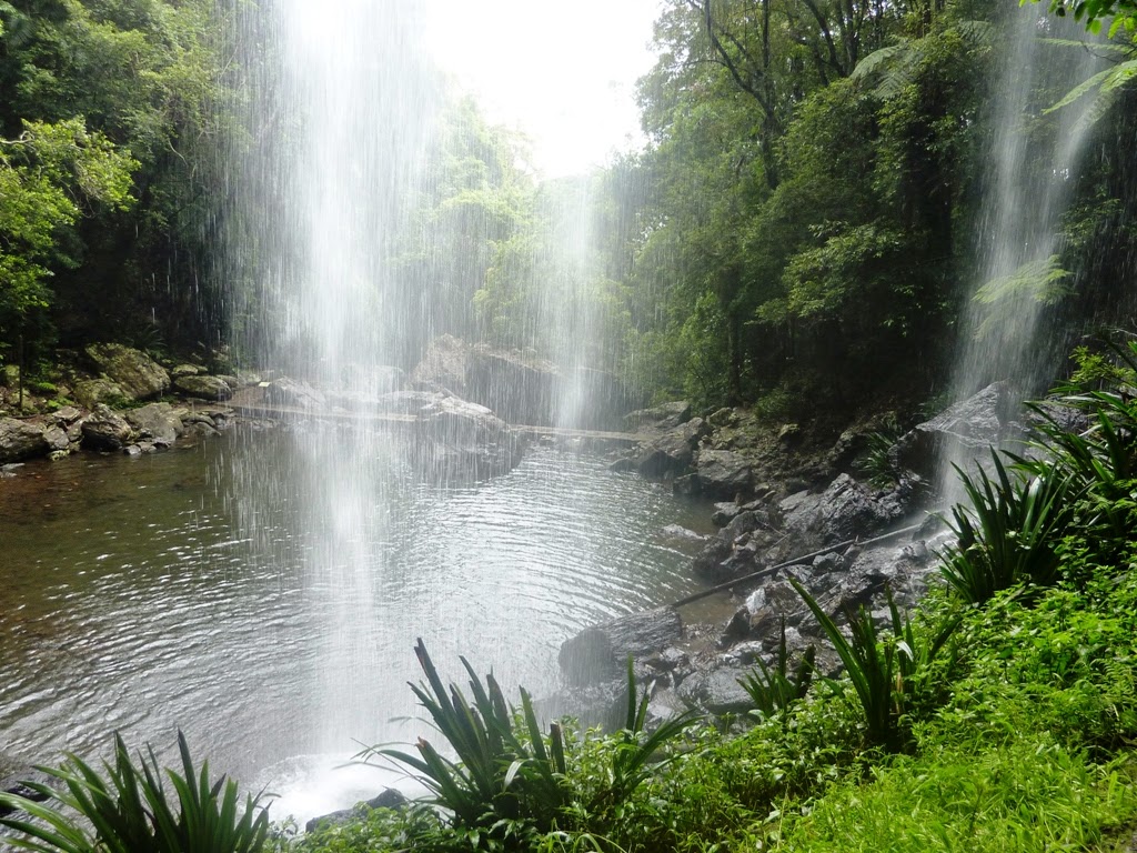 National Park Odyssey Springbrook National Park, QLD. Part 2 Twin Falls.