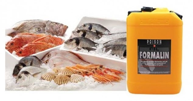 Kegunaan &amp; Bahaya Formalin Bagi Kesehatan - CNN Times IDN
