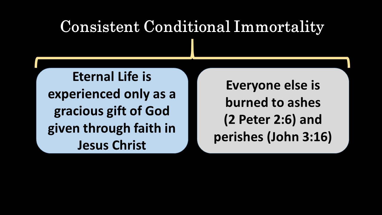 Conditional%2BImmortality%2B13.JPG