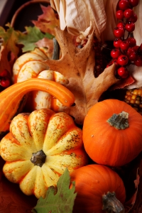 Anyone Can Decorate Thanksgiving Table Decorating Ideas