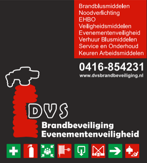 dvsbrandbeveiliging.nl