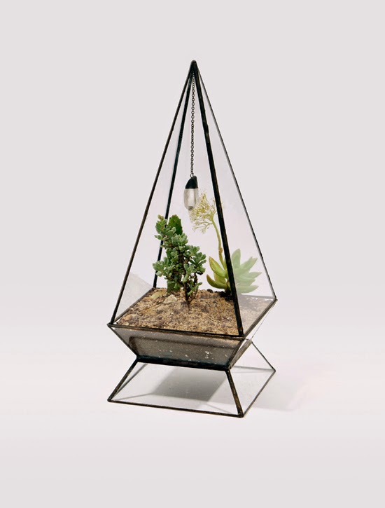 Handmade Hanging And Table top plants Terrariums