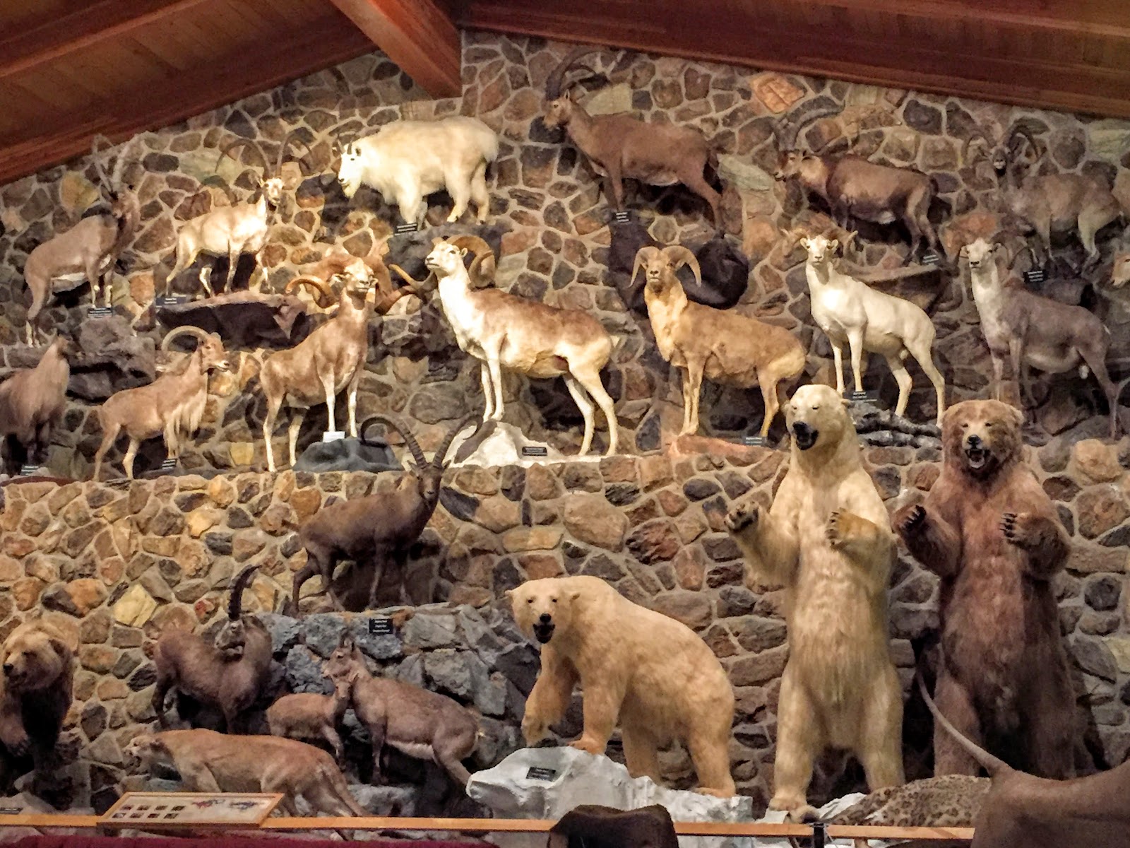 Weaving Down the Road International Wildlife Museum