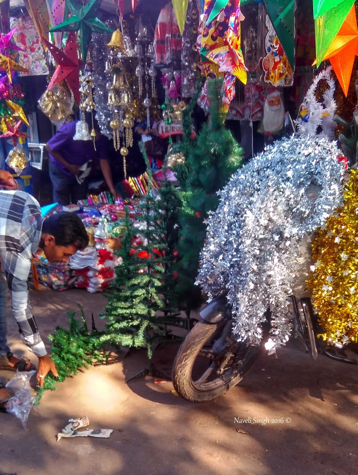 Siliguri Whereabouts Where Should You Buy A Christmas Tree In