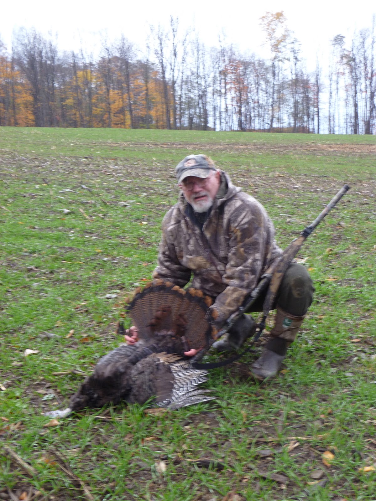 Turkey hunt...
