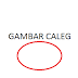 Dilema Memilih Caleg