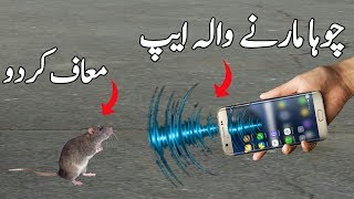 Anti Rat Repeller Apk Download-Top4uapk