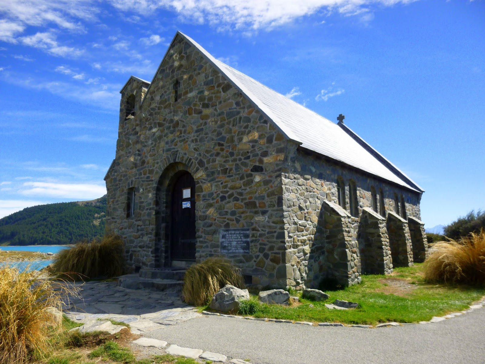 Emerging From The Undergrowth Otago Coast,Mackenzie Country,Hopkins