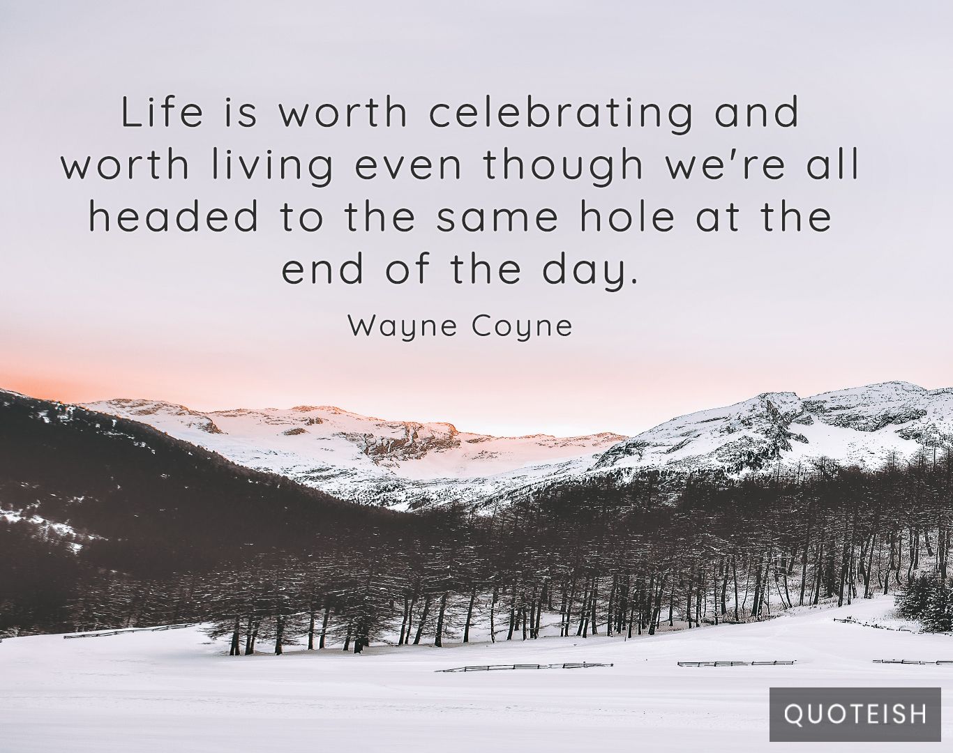 15 Celebrating Life Quotes Quoteish