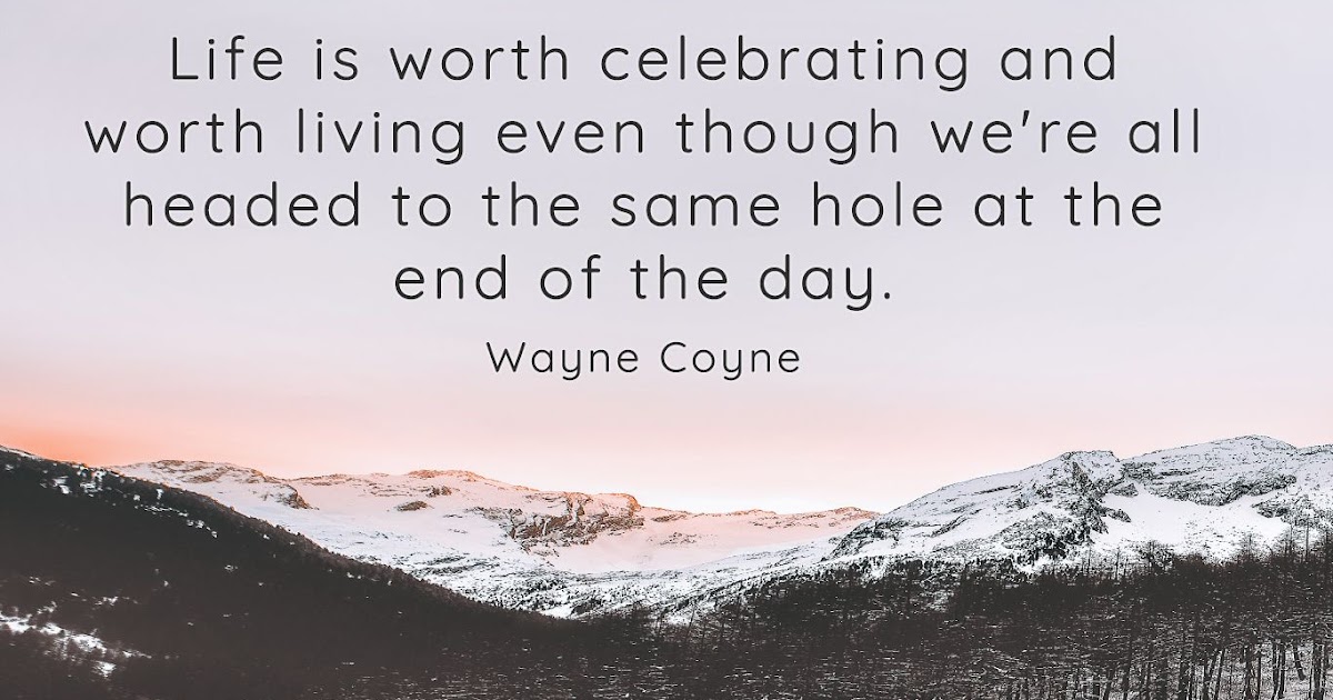 15+ Celebrating Life Quotes - QUOTEISH