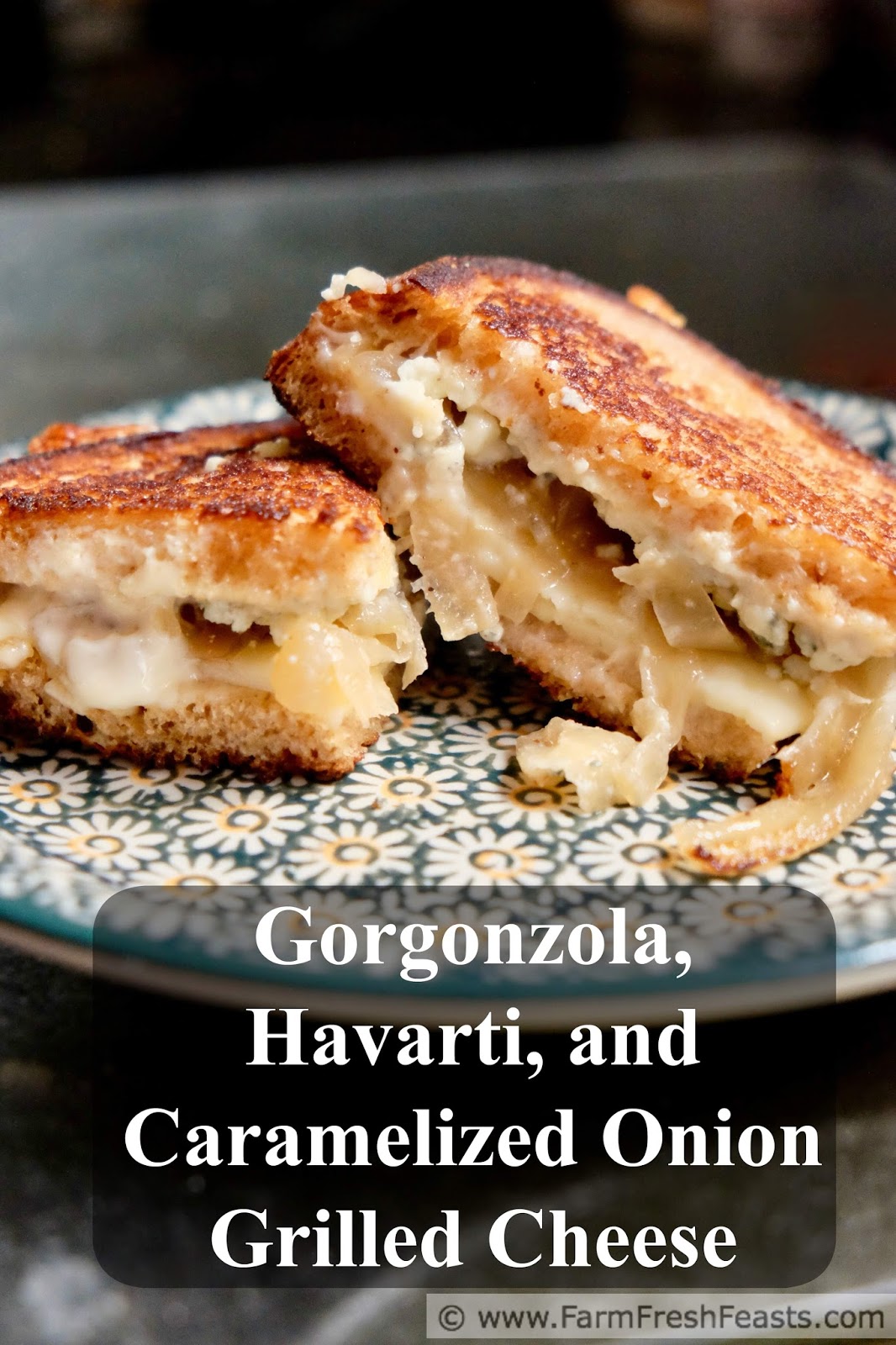 Gorgonzola Butternut Squash Ravioli - Half Baked Harvest
