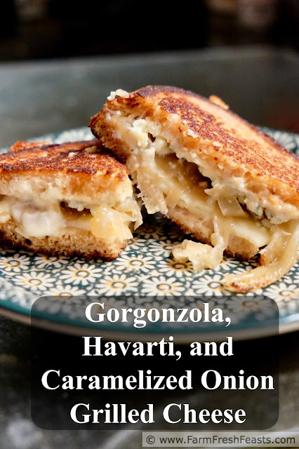 title image of a grilled cheese sandwich stuffed with caramelized onions, gorgonzola crumbles, and havarti cheese