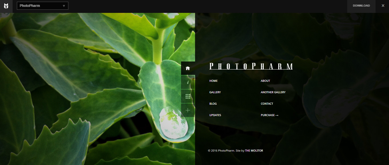 PhotoPharm PhotoPharm WordPress Theme for portfolio photography
