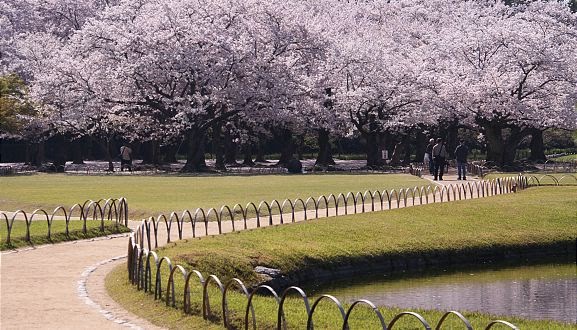 cool been: Modern Japanese Gardens Elements