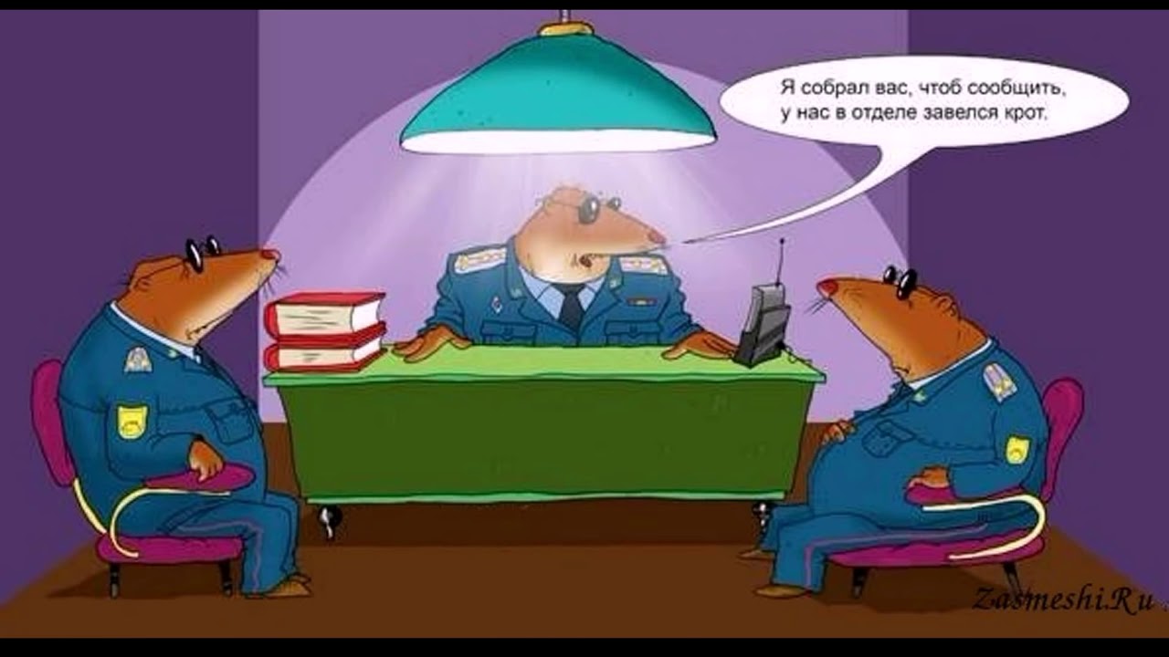 смешной крот. крот из чешского мультика. жеваный крот игра. чешский кротик иллюстрации. крот предатель.