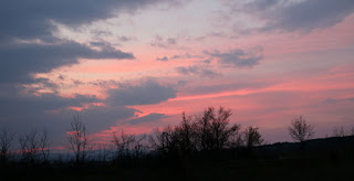 Pink sky to end the day Pink sky to end the day