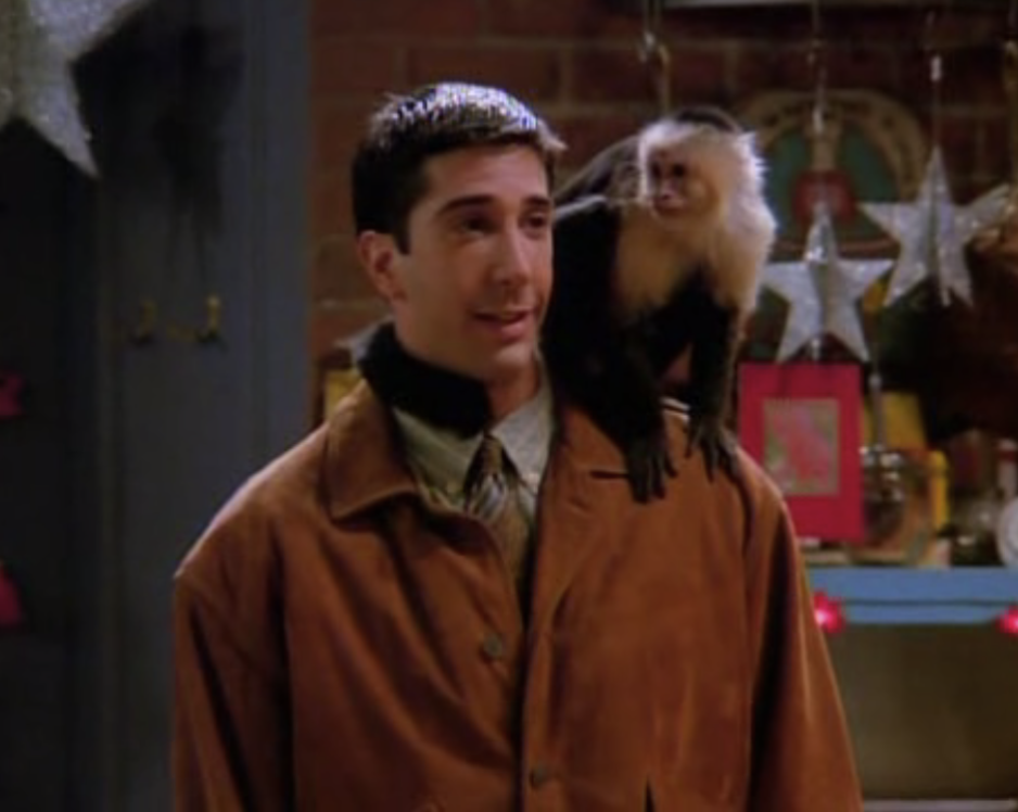 Watch With Spie Friends The One With The Monkey I m Sick Of Being watch-with-spie-friends-the-one-with-the-monkey-i-m-sick-of-being
