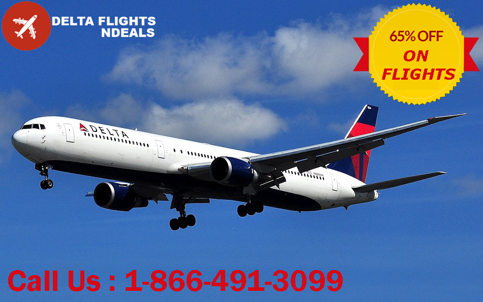Visit Delta Airlines Official Site to book a ticket for the solo trip