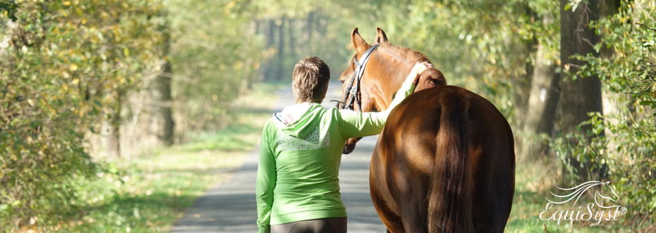 Equisyst ® - Systemische Aufstellungen          für Pferd und Mensch