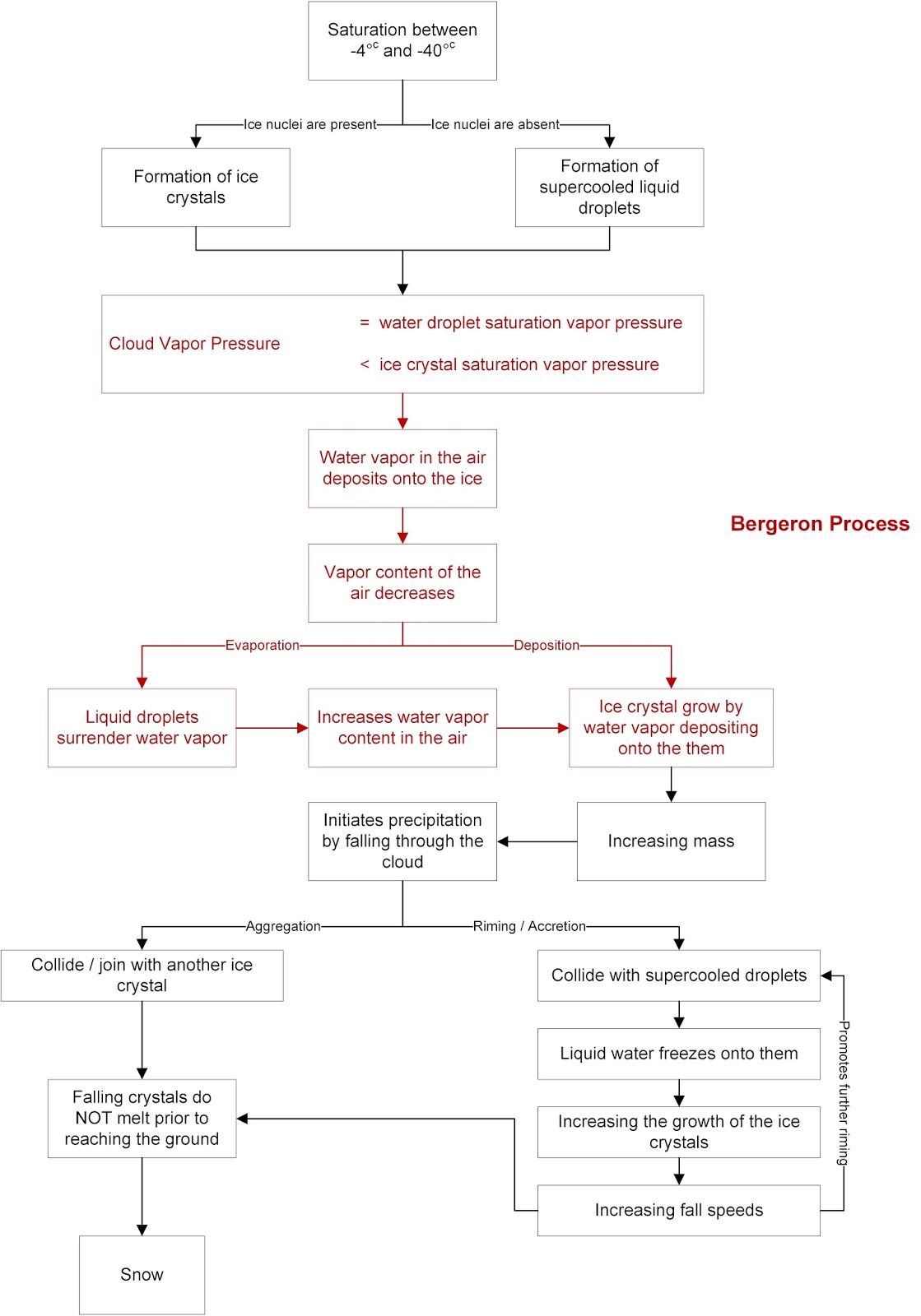 Brandi's Buzzar Blog The Bergeron Process