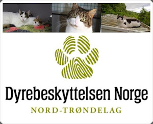 Animal shelters Norway
