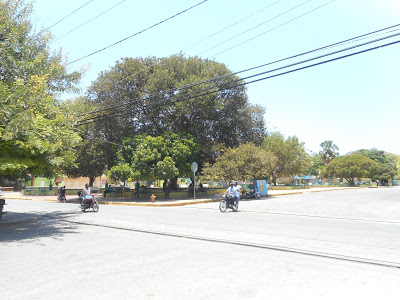 Las autoridades  de Salud Pública en Pedernales toman medidas  evitar entradas  bebida artesanal CLEREN