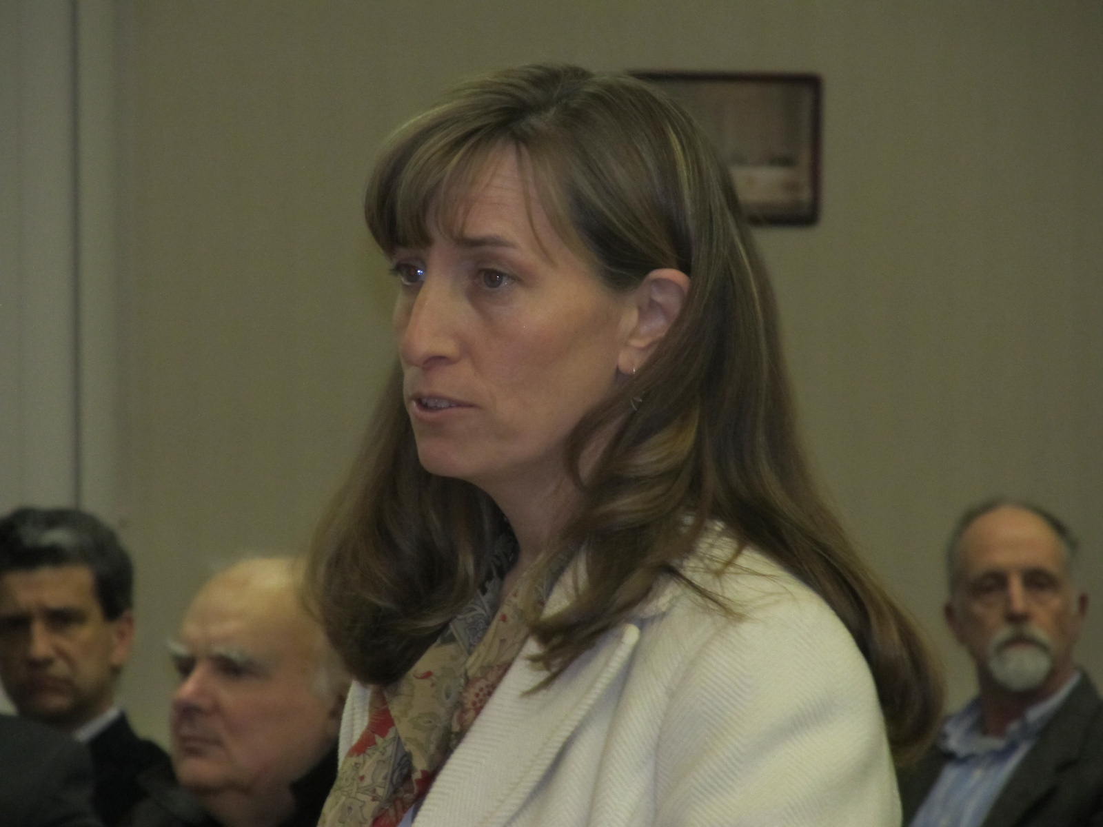 Lehigh Valley Ramblings Friends of Johnston Need More Friends With