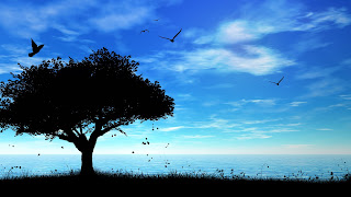 Tree abd bird fly in the sky photo Tree abd bird fly in the sky photo