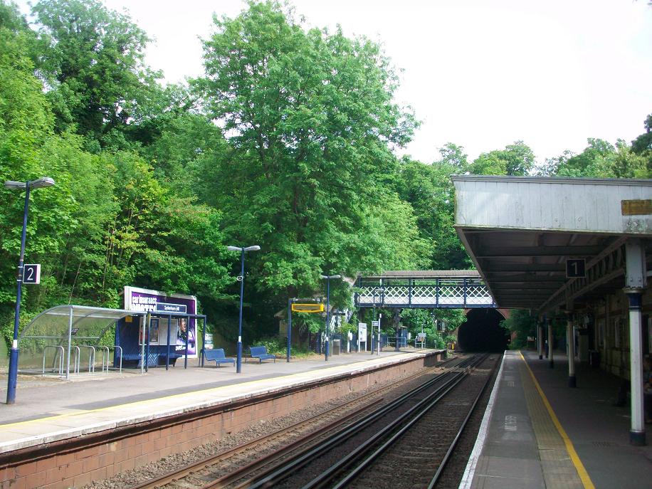 Transpontine Sydenham Hill Station