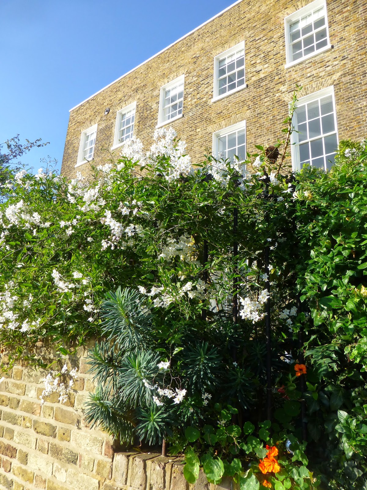 Pension lawyer meets world Hammersmith to Chiswick